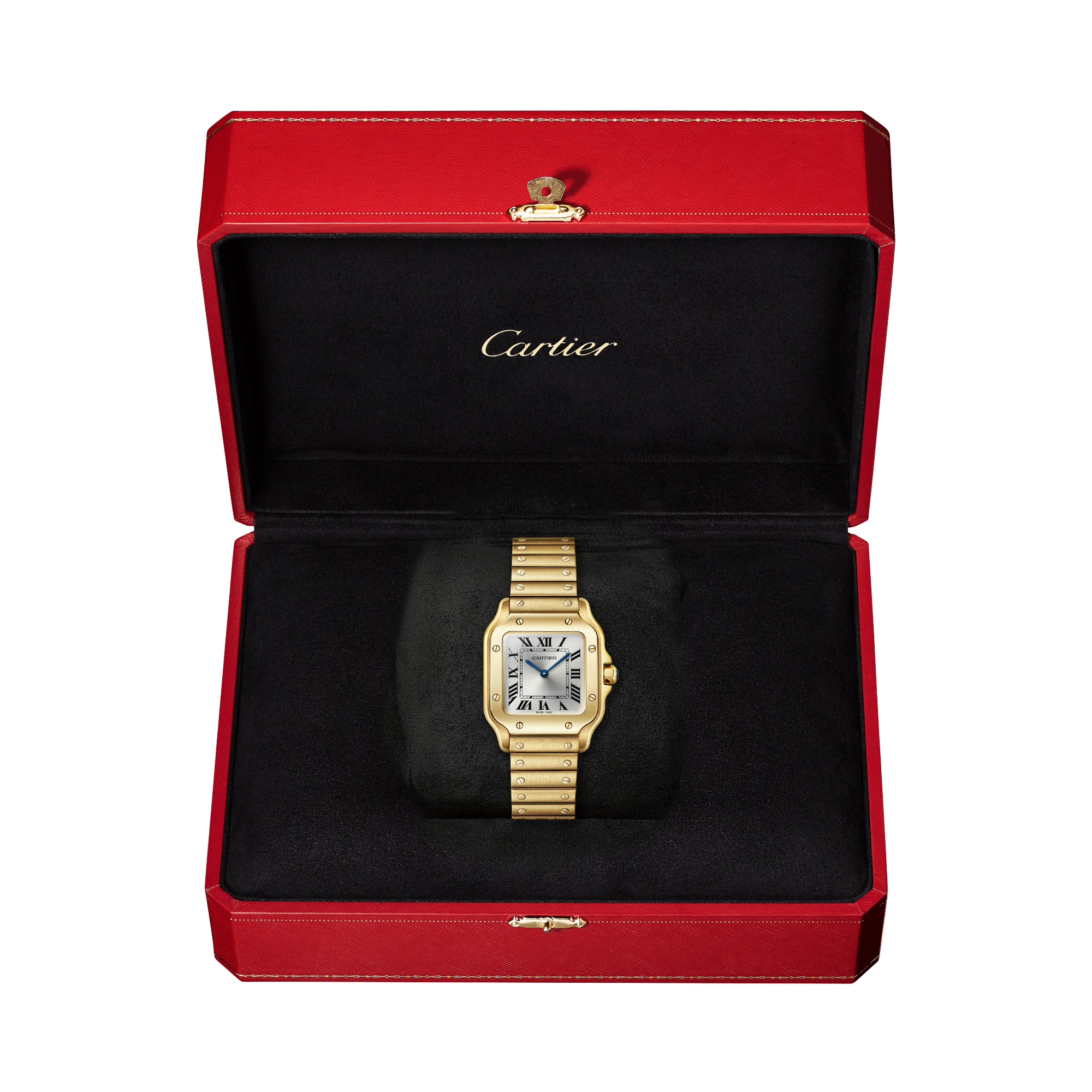 Cartier Santos de Cartier Small, Silver Dial, Roman Numerals_5