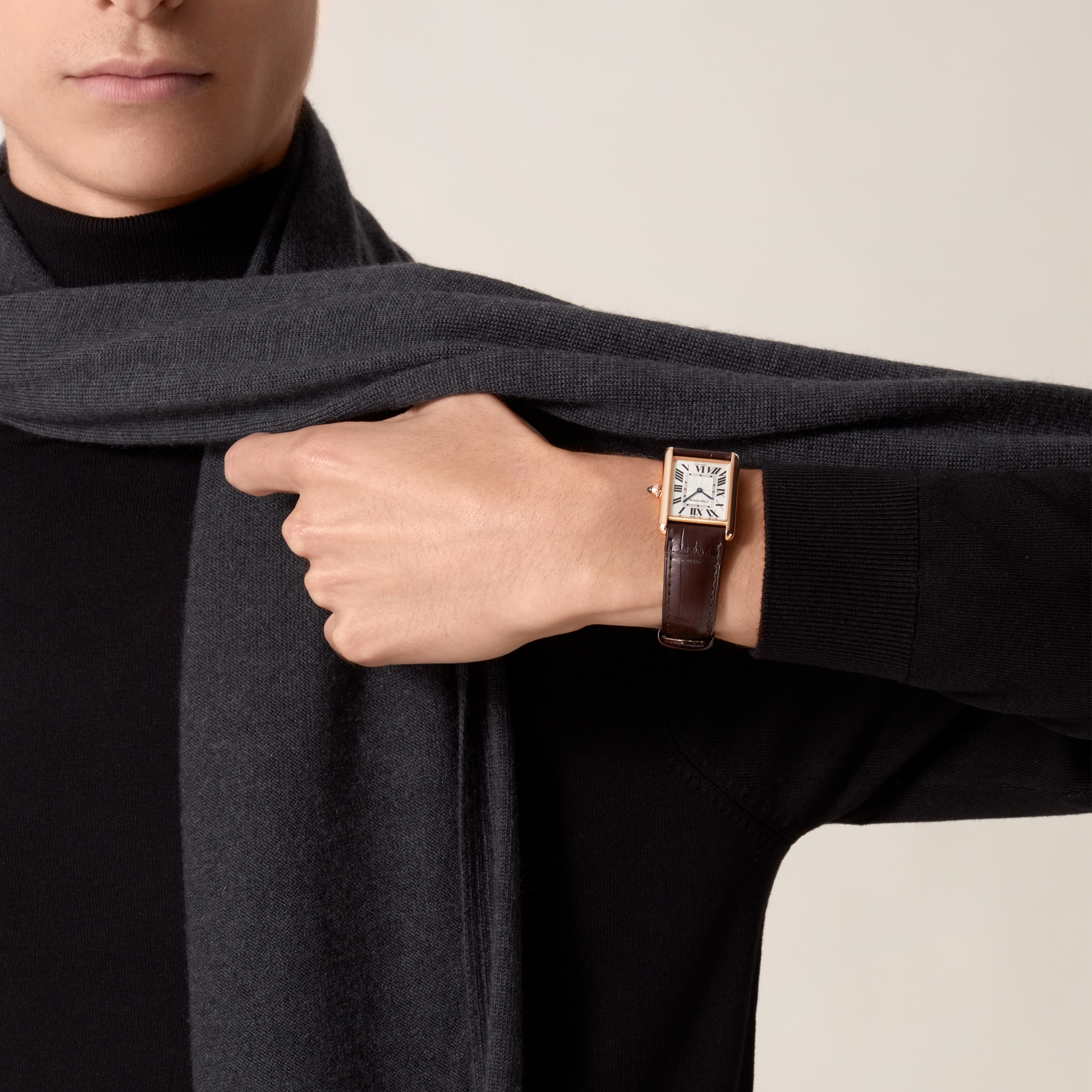 Cartier Tank Louis Cartier Medium, Silver Dial, Roman Numerals_10