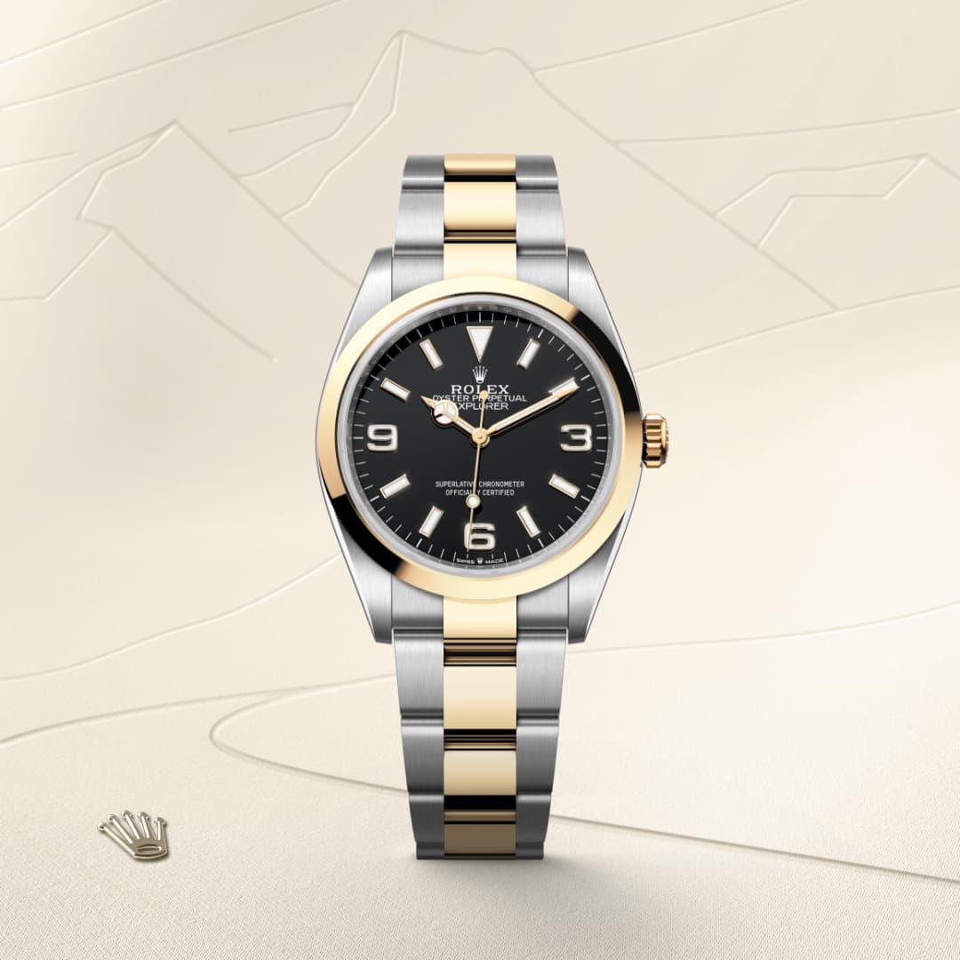 Explorer 36 _2