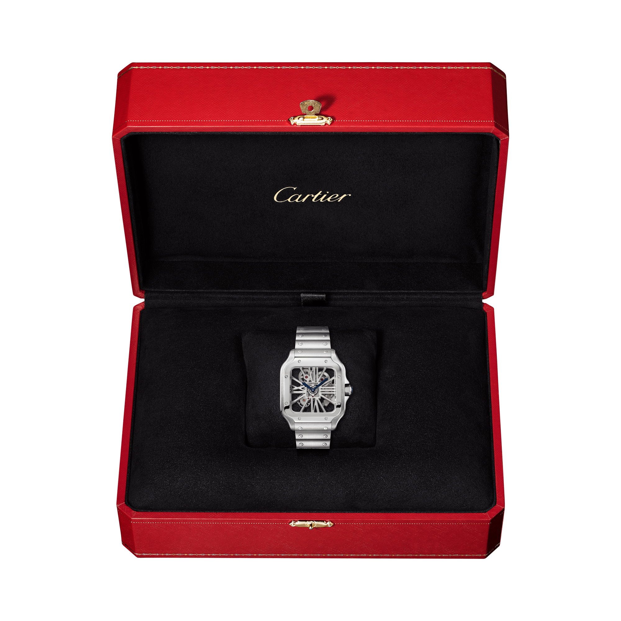 Cartier Santos de Cartier 39.8mm, Skeleton Dial, Roman Numerals_5