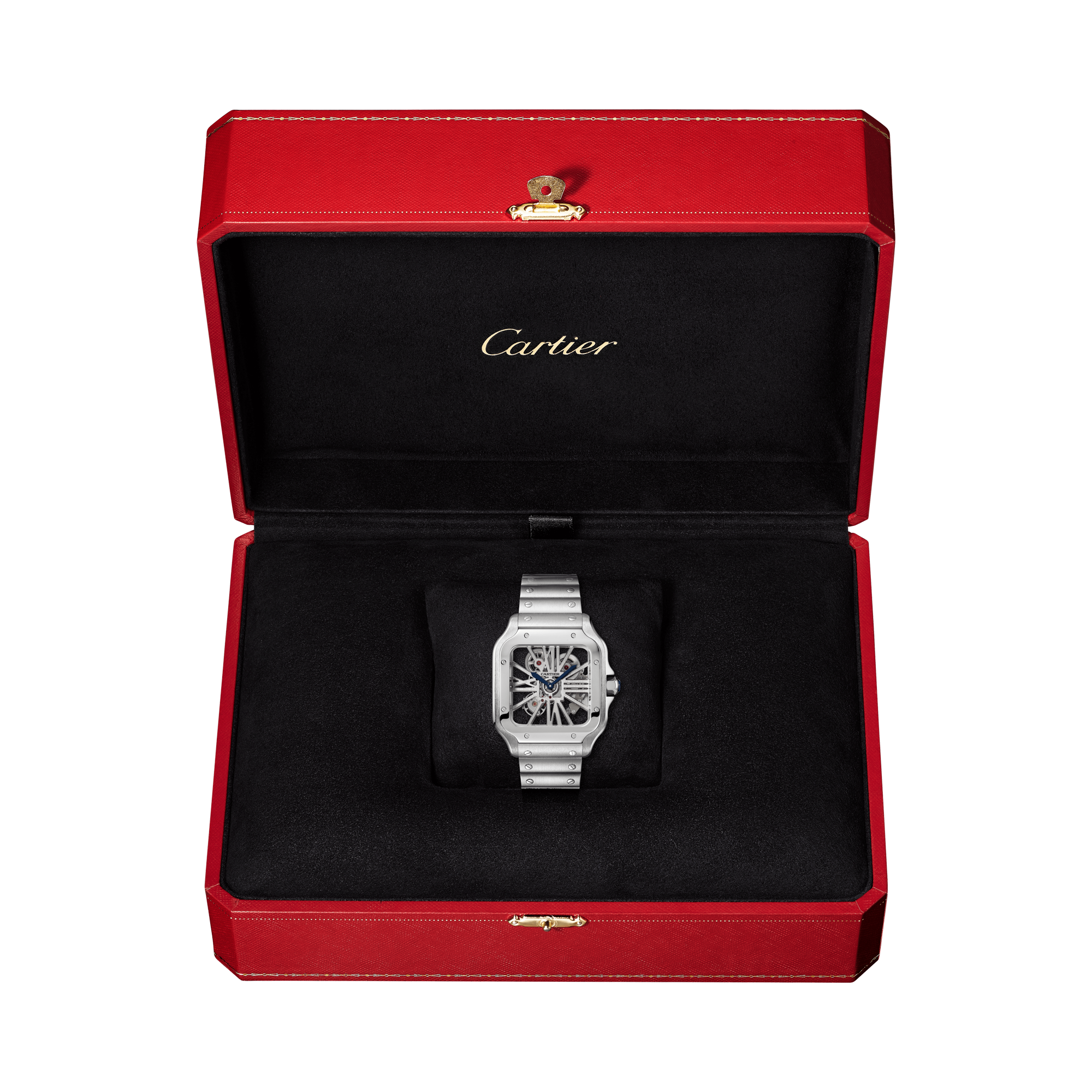 Cartier Santos de Cartier 39.8mm, Skeleton Dial, Roman Numerals_5